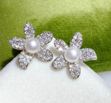 Freshwater Pearl Earrings