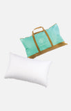 2 IN 1 Pillow