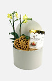 The Gift Orchid HamperTGMD002P