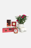 The Gift Red Rose HamperTGMD015